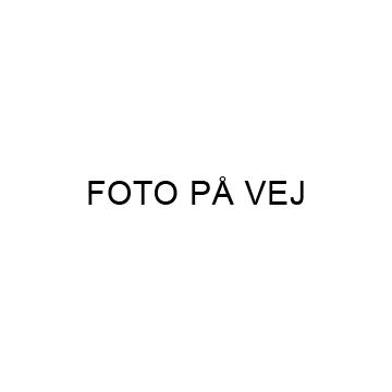 iPad Pro 12.9 1st gen. Homeknap